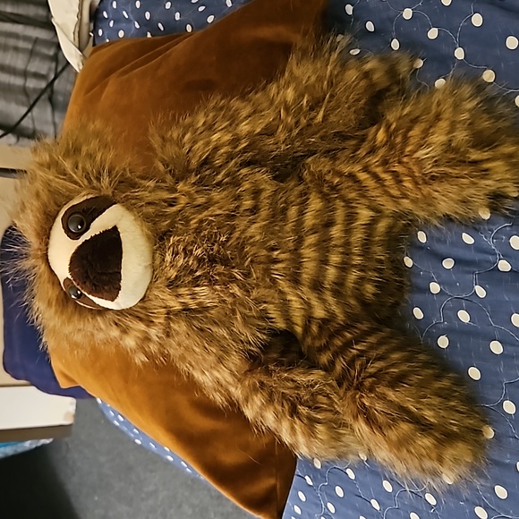 Justice Sloth - Picture 1 of 3